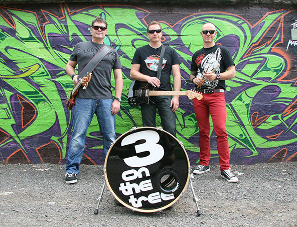 3 On The Tree Cover Band - Melbourne Wedding Bands - Musicians Singers